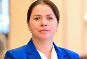 Müasir Zəngilan modeli: quruculuq və innovasiya