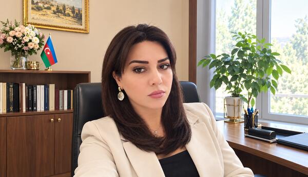 Qalib Azərbaycanın sülh təklifi gələcəyə hesablanmış seçimdir