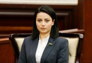 Zəngilanın inkişaf modeli: dövlət siyasəti və real nəticələr