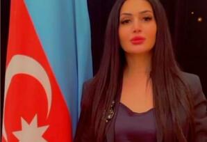 İlham Əliyevin çıxışı kontekstində AQEM-in VII Zirvə Görüşü - ŞƏRH