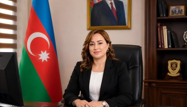 AQEM platformasında Azərbaycanın siyasi iradəsi - ŞƏRH