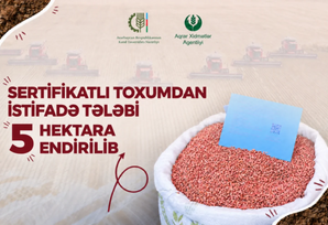 Azərbaycanda yerli toxumçuluğun təşviqi üçün yeni mexanizmlər tətbiq edilir