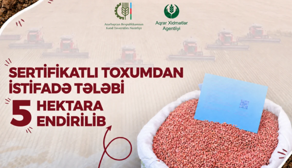 Azərbaycanda yerli toxumçuluğun təşviqi üçün yeni mexanizmlər tətbiq edilir