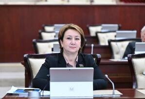 Qubadlının dirçəlişi Azərbaycanın Zəfər strategiyasının təntənəsidir