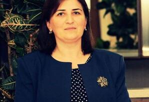Sülhün kövrəkliyi və dövlət suverenliyinin məsuliyyəti - ŞƏRH