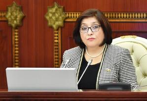 “TÜRKPA çərçivəsində əməkdaşlığın genişləndirilməsi üçün əlavə imkanlar yaranıb” - Sahibə Qafarova