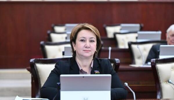 Qubadlının dirçəlişi Azərbaycanın Zəfər strategiyasının təntənəsidir