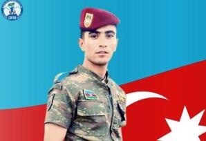Vətən üçün yaşayan Cavid
