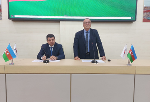 Azərbaycan Respublikası Səhiyyə Nazirliyinin Milli Onkologiya Mərkəzində müşavirə keçirilib - FOTO