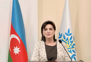 Zəfərdən yeni tarixi mərhələyə: YAP-ın VIII qurultayı və dövlətçilik məsuliyyəti
