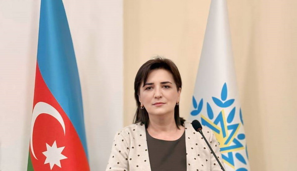 Zəfərdən yeni tarixi mərhələyə: YAP-ın VIII qurultayı və dövlətçilik məsuliyyəti