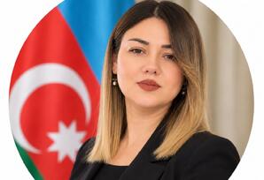 Qarşıdakı dövrün strateji vəzifələri - ŞƏRH