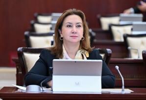Milli birlik və müstəqil siyasət: Azərbaycanın beynəlxalq nüfuzunun əsası