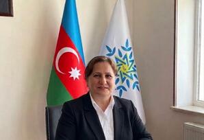 Beynəlxalq münasibətlərdə ədalət və bərabərlik prinsiplərinin müdafiəsi - ŞƏRH