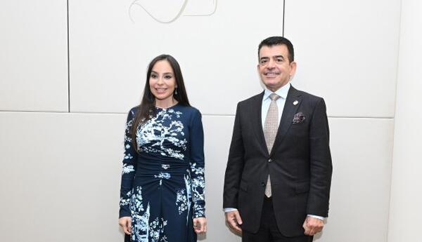 Leyla Əliyeva Səlim bin Məhəmməd əl-Malik ilə görüşüb
