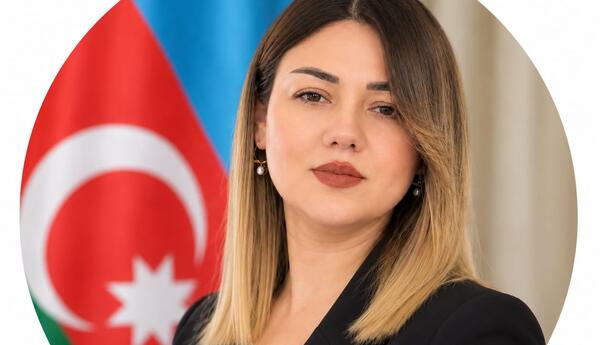 Qarşıdakı dövrün strateji vəzifələri - ŞƏRH