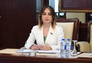 “Pulsuz hüquqi yardım üçün müraciət prosesi elektronlaşdırılmalıdır“ -NİGAR MƏMMƏDOVA